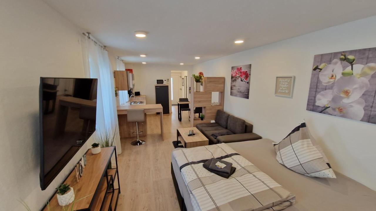 Appartment-Ferienwohnung Mit Kueche, Bad, Kostenlos Wlan, Modern Eingerichtet Roding Dış mekan fotoğraf